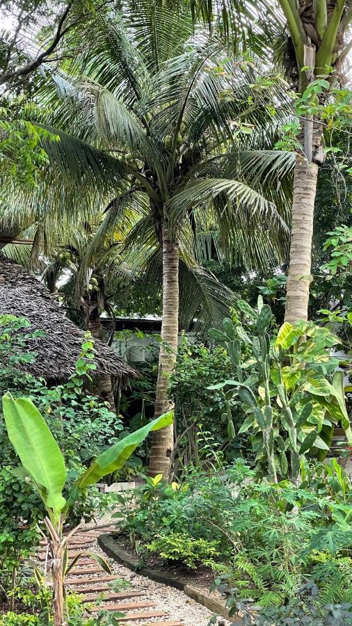 Atii Garden Bungalows Nungwi Kültér fotó